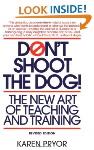 Don't Shoot the Dog