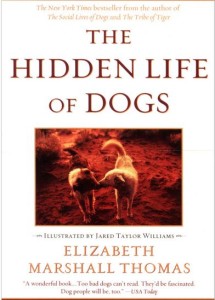 Hidden Life of Dogs